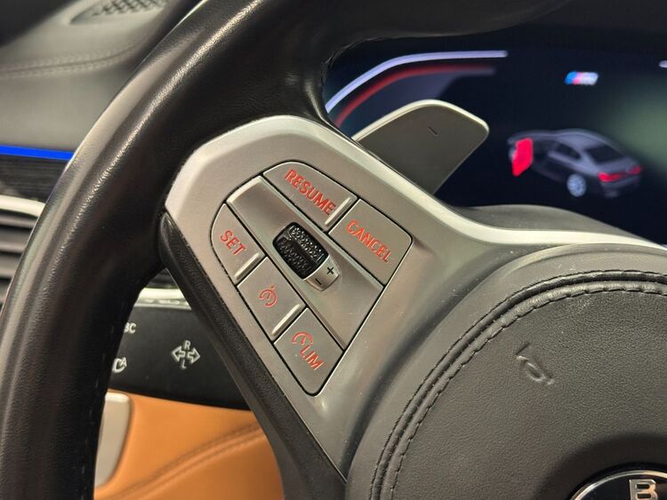 BMW Serie 7 XDRIVE 30D M foto 26