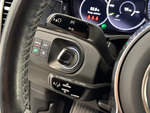 Porsche Cayenne E-HYBRID miniatura 18
